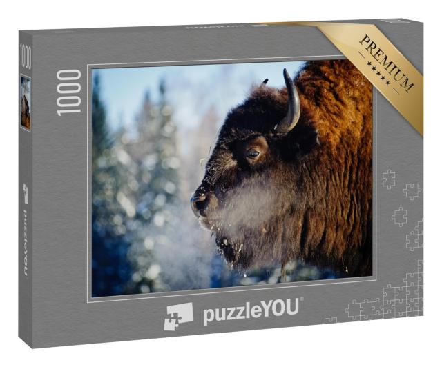 Puzzle 1000 Teile „Wisent in freier Wildbahn“
