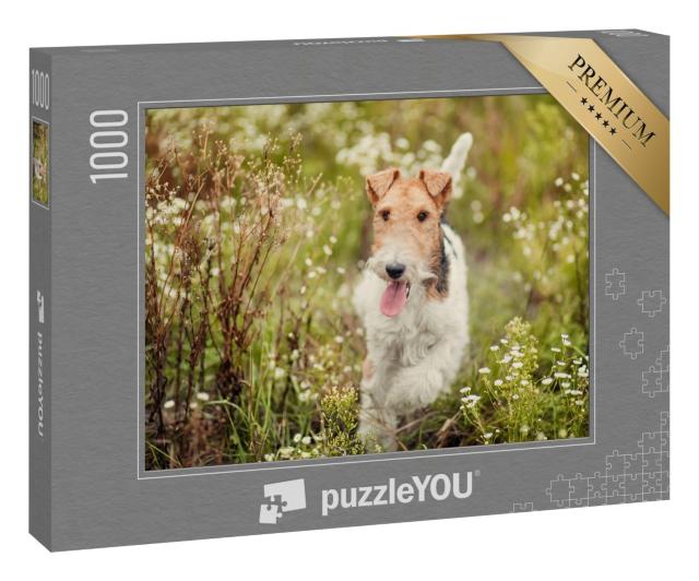 Puzzle 1000 Teile „Foxterrier in der Natur“