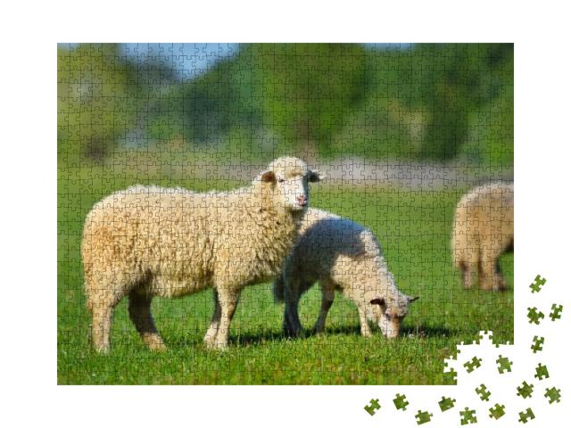 Puzzle 1000 Teile „Zwei junge weiße Schafe auf einer Wiese im saftigen grünen Gras“