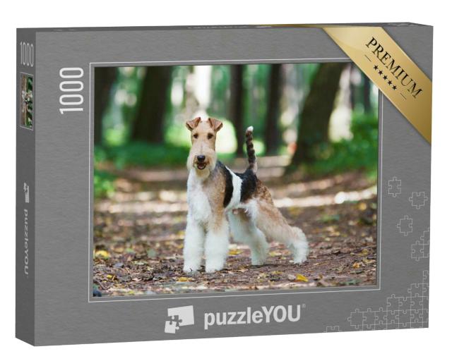 Puzzle 1000 Teile „Foxterrier im herbstlichen Park“