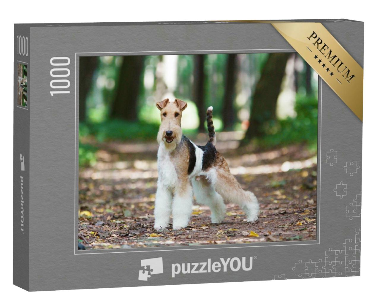Puzzle 1000 Teile „Foxterrier im herbstlichen Park“