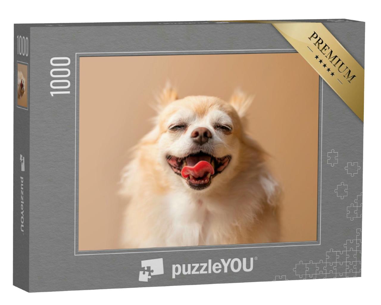 Puzzle 1000 Teile „Brauner Chihuahua: Schoßhund“