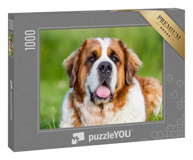 Puzzle 1000 Teile „Bernhardiner Hund, Bernhardiner“