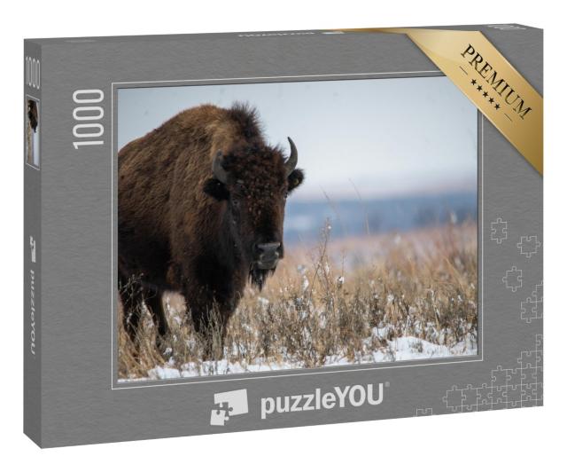 Puzzle 1000 Teile „Oklahoma Bison nach Schneefällen im Dezember“
