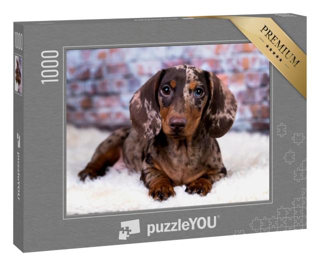 Puzzle 1000 Teile „Dackel: Porträt“