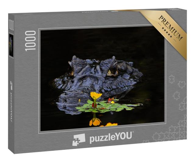 Puzzle 1000 Teile „Kaimane sind Krokodile“