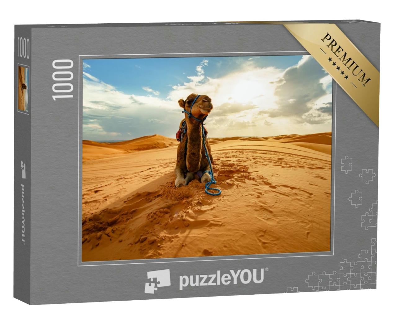 Puzzle 1000 Teile „Ruhendes Kamel in der Sahara, Marokko“
