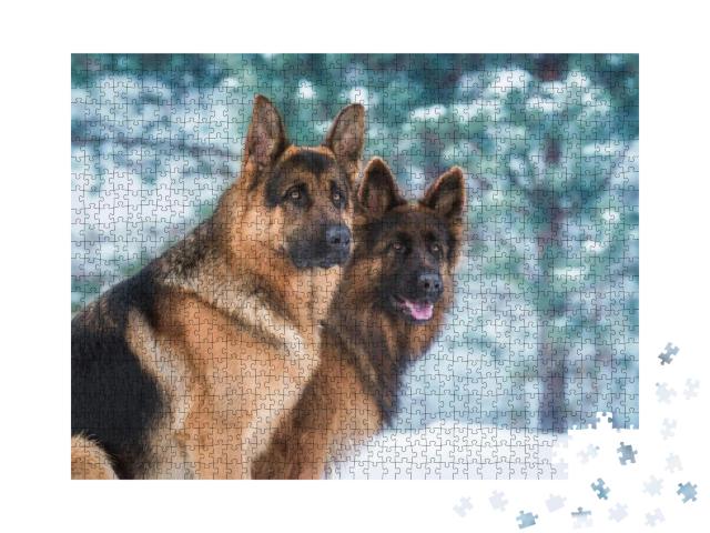 Puzzle 1000 Teile „Porträt von zwei Deutschen Schäferhunden im Winter, schauen aufmerksam“