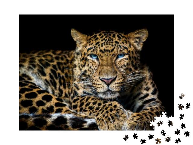 Puzzle 1000 Teile „Nordchinesischer Leopard, Panthera pardus japonensis“