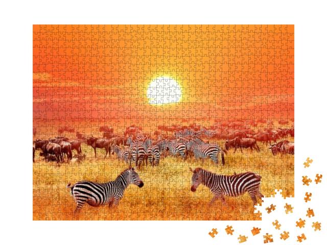 Puzzle 1000 Teile „Zebras und Antilopen bei Sonnenuntergang, Serengeti-Nationalpark“