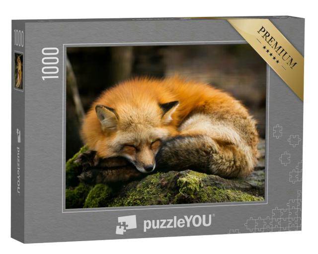 Puzzle 1000 Teile „Schlafender Rotfuchs“