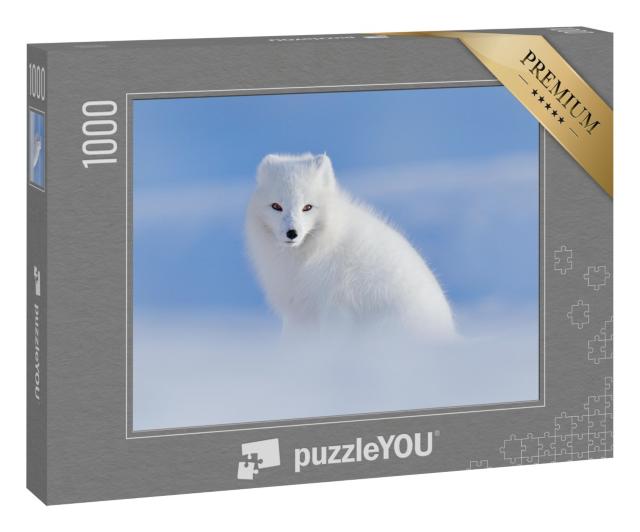 Puzzle 1000 Teile „Weißer Polarfuchs im seinem natürlichen Lebensraum, Svalbard, Norwegen“