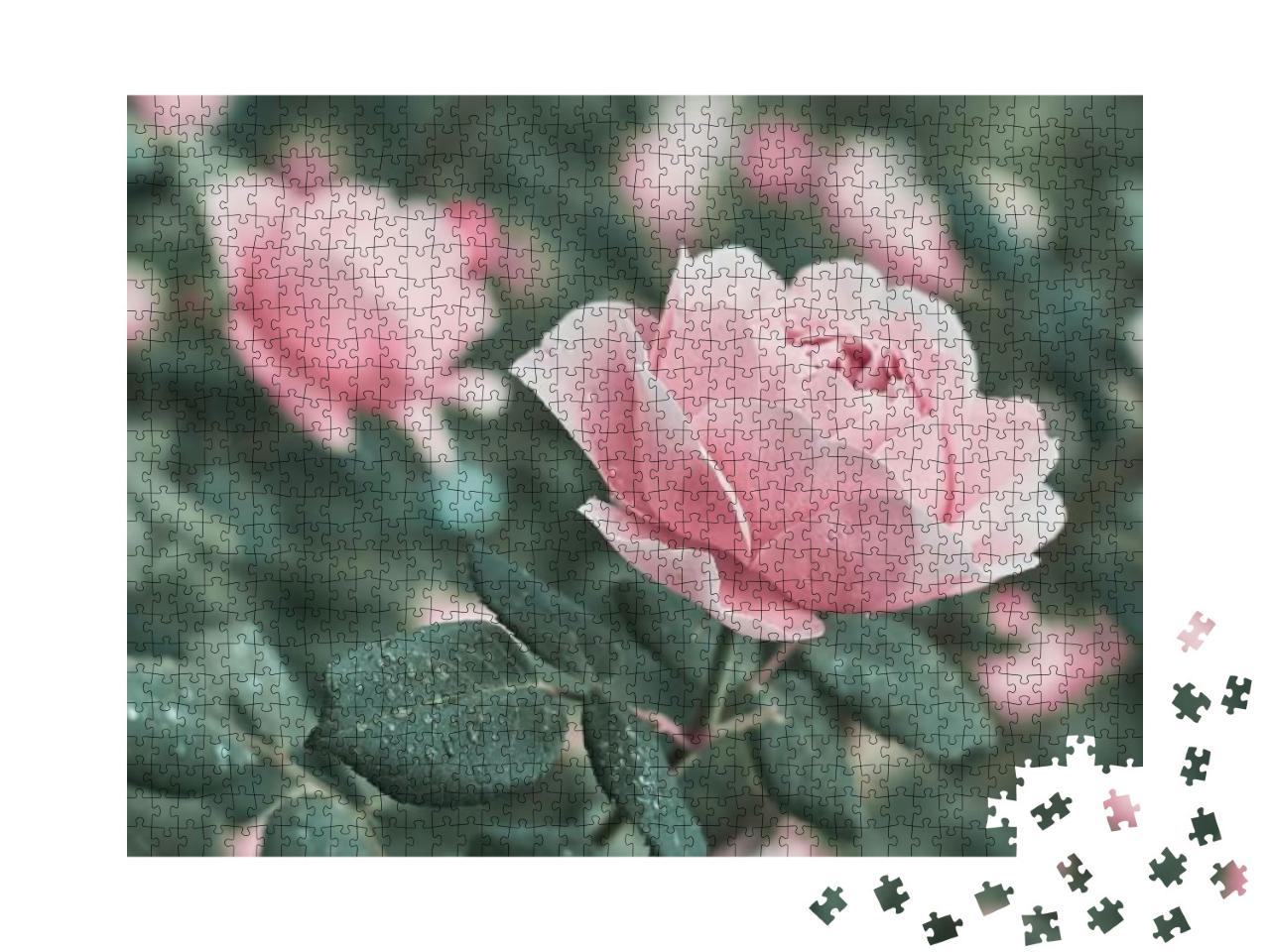 Puzzle 1000 Teile „Rose Blume aus der Natur“