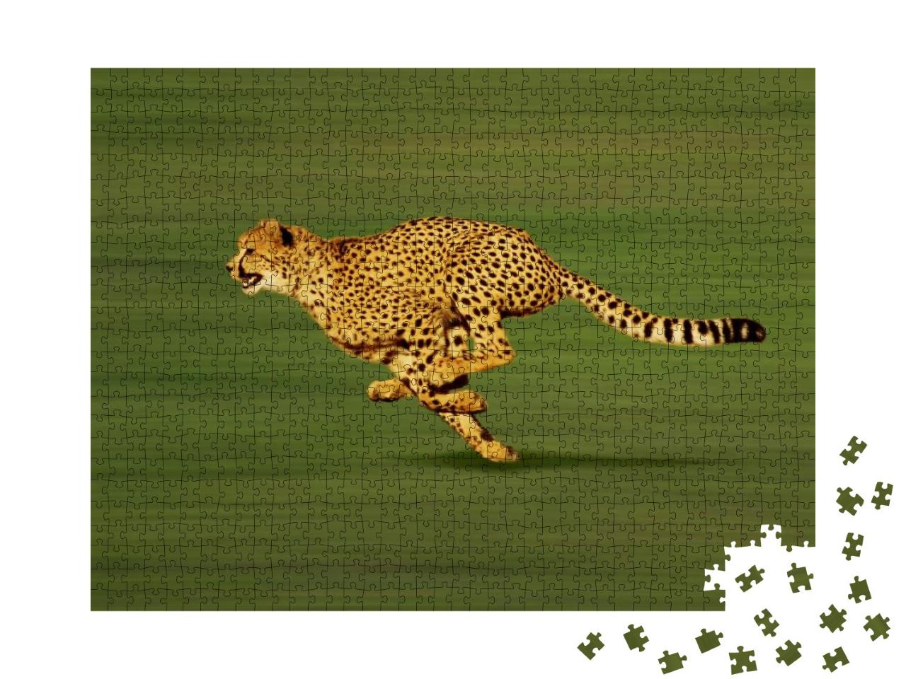 Puzzle 1000 Teile „Ausgewachsener Gepard im Sprint“