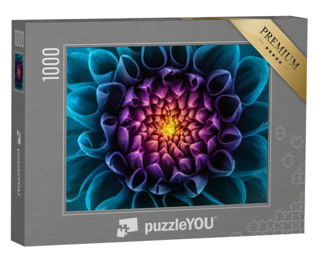 Puzzle 1000 Teile „Bunte Chrysantheme: Blume als Makroaufnahme“