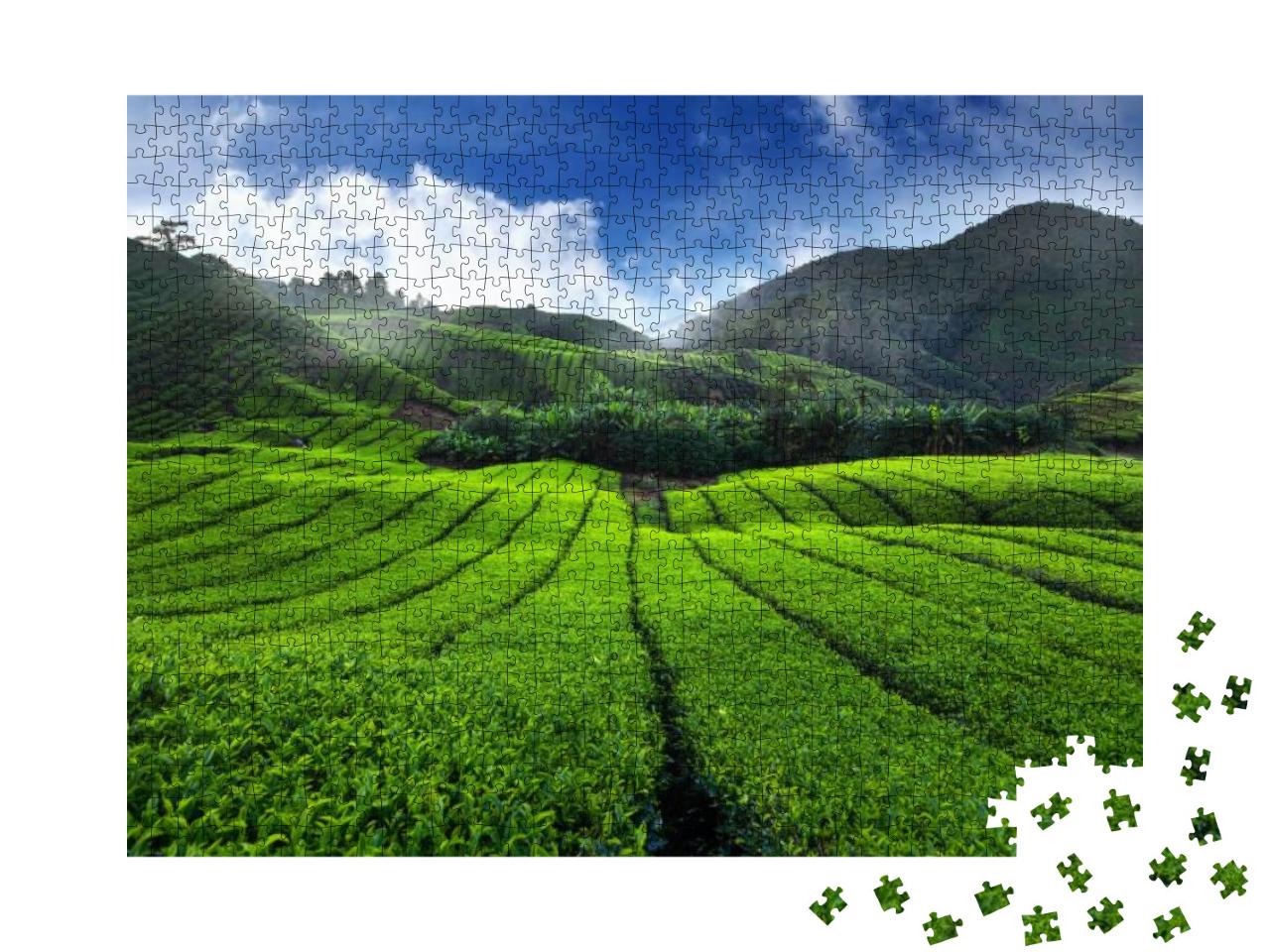 Puzzle 1000 Teile „Teeplantage im Sonnenaufgang“