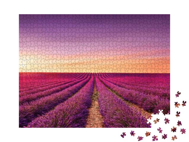 Puzzle 1000 Teile „Lavendelblüten: blühende Felder bei Sonnenuntergang, Provence, Frankreich“