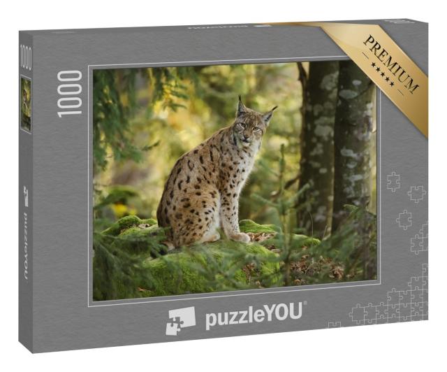 Puzzle 1000 Teile „Eurasischer Luchs im Nationalpark Bayerischer Wald, Deutschland“