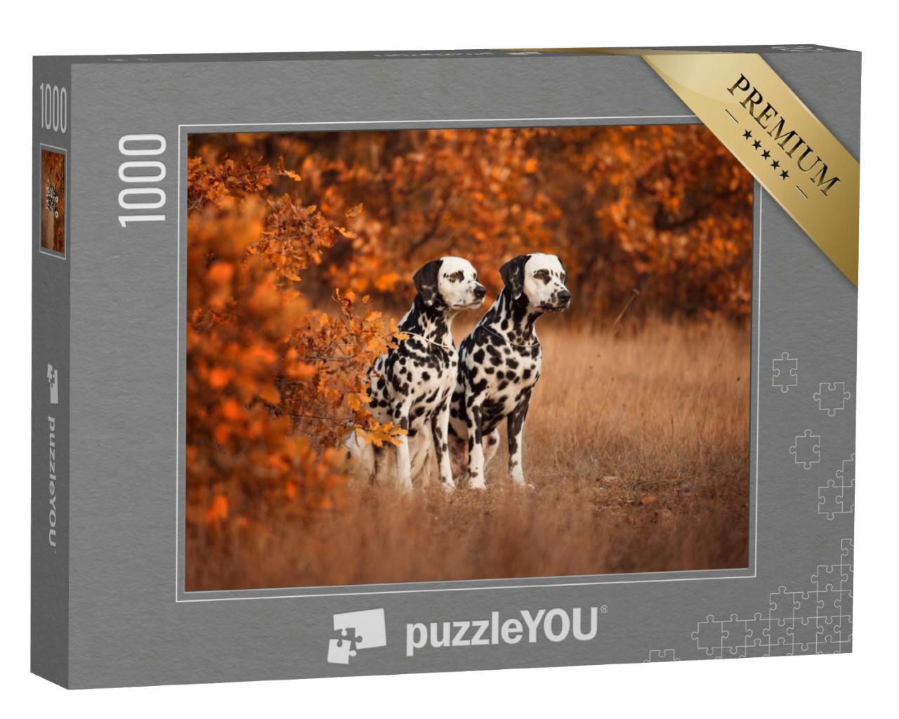 Puzzle 1000 Teile „Zwei Dalmatiner beim Spaziergang“