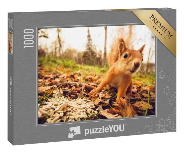 Puzzle 1000 Teile „Eichhörnchen: ein Nagetier aus dem Wald“