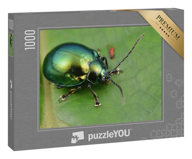 Puzzle 1000 Teile „Makroaufnahme eines grün glänzenden Blattkäfers“