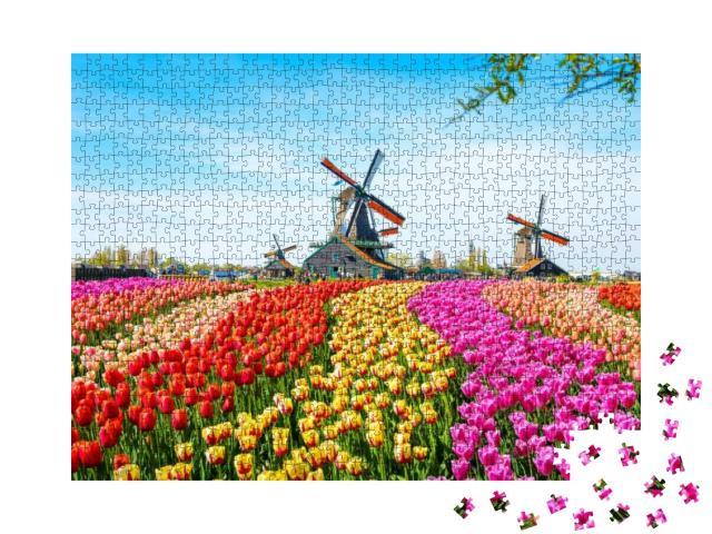 Puzzle 1000 Teile „Landschaft mit Tulpen, Windmühlen und Häusern in den Niederlanden“