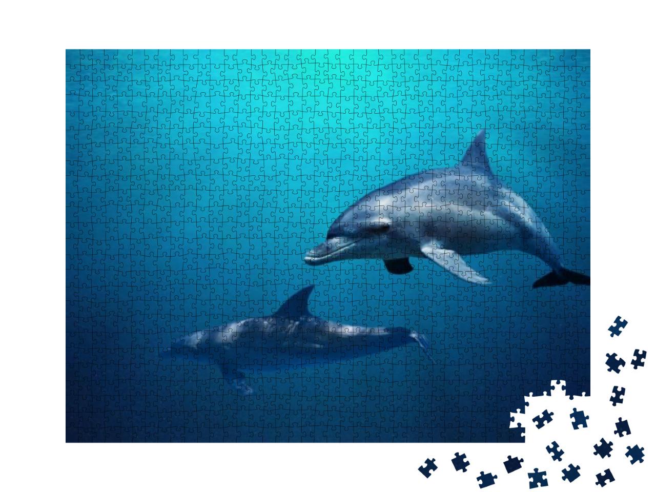 Puzzle 1000 Teile „Zwei Delfine schwimmen durch blaues Wasser“