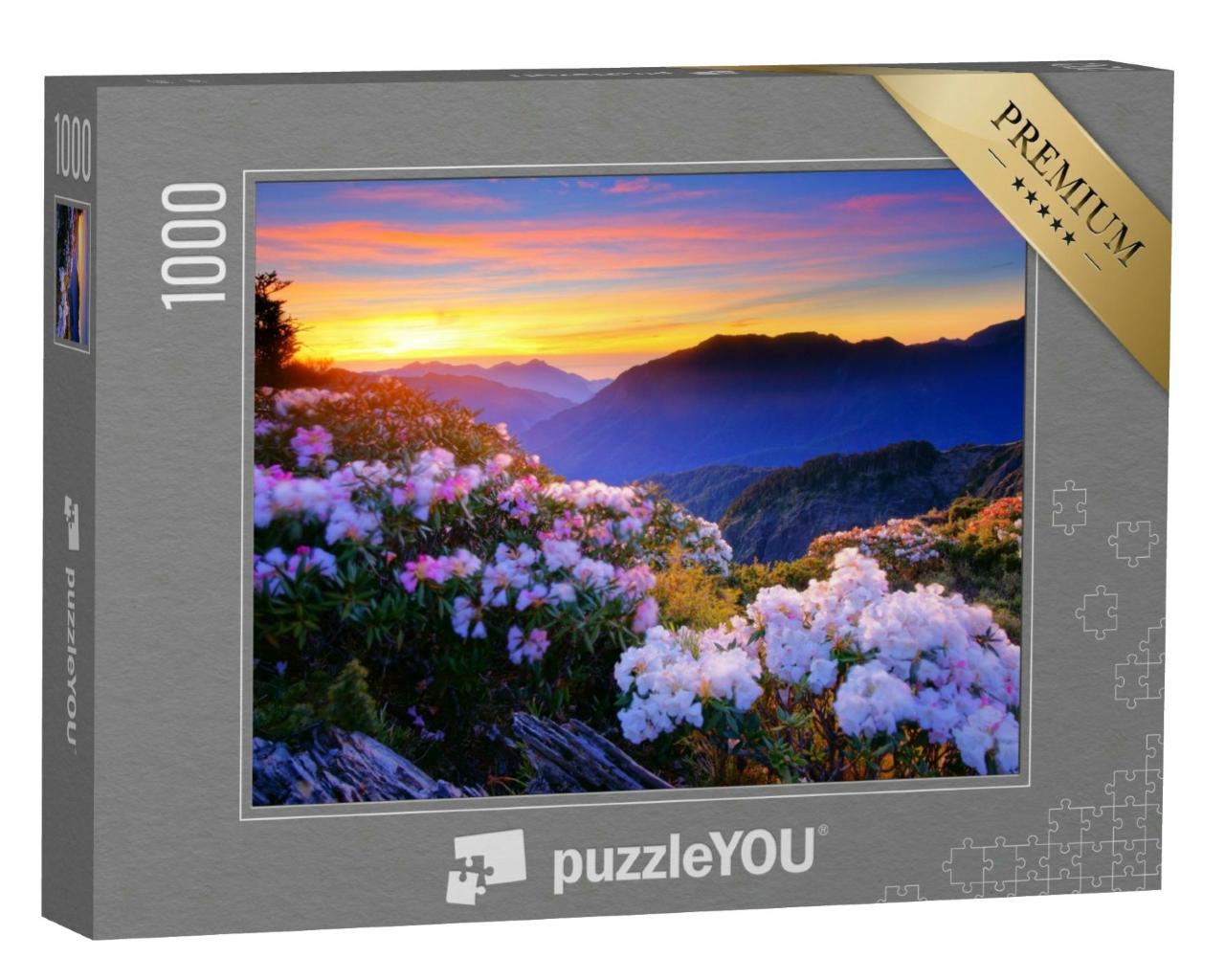Puzzle 1000 Teile „Eine Azalee blüht im Frühling am Hehuan Mountain, Taiwan, Asien“