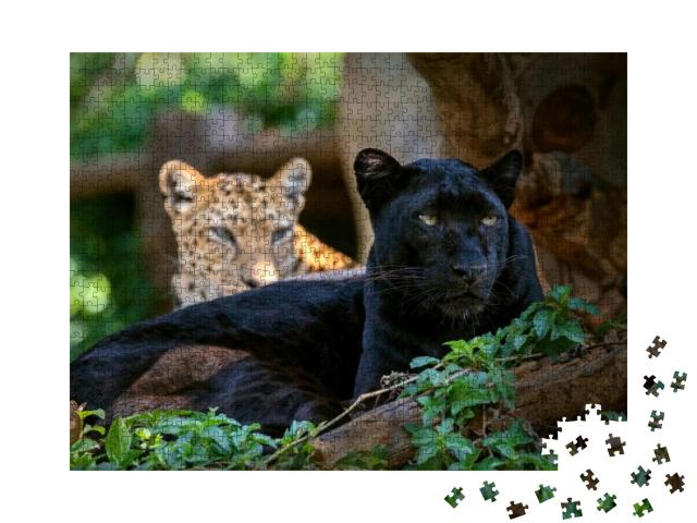 Puzzle 1000 Teile „Leopard oder Panther“