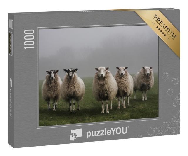 Puzzle 1000 Teile „Fünf Schafe auf einem Feld an einem nebligen Morgen in Dorset“