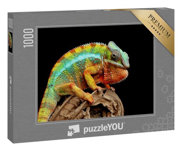 Puzzle 1000 Teile „Chamäleon Panther auf trockenen Blättern, Nahaufnahme“