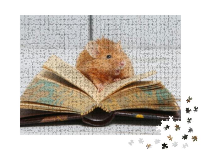 Puzzle 1000 Teile „Neugierige kleine Maus beim Lesen“