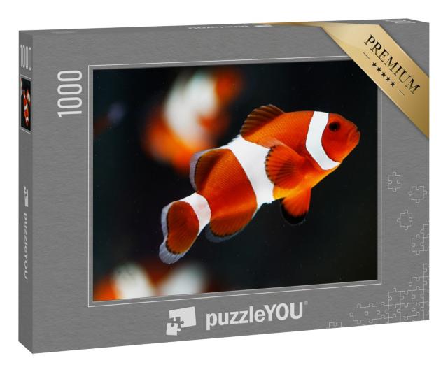 Puzzle 1000 Teile „Falscher Percala-Anemonenfisch oder Ocellaris-Anemonenfisch“