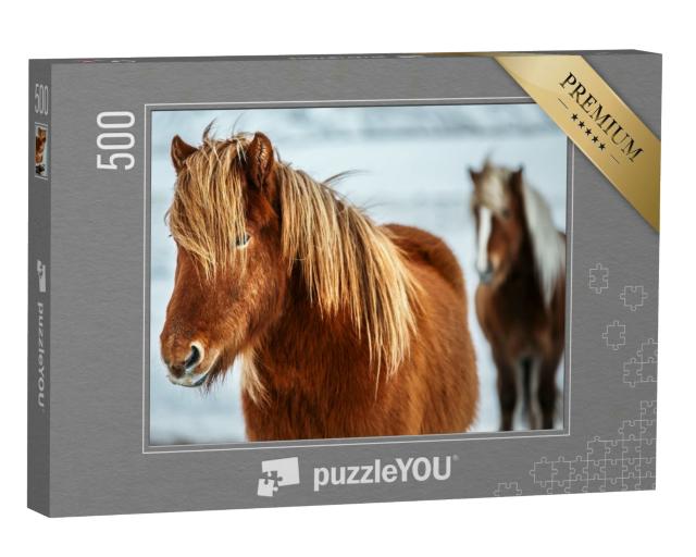 Puzzle 500 Teile „Porträt eines schönen Islandpferdes, im Hintergrund ein weiteres Pferd“