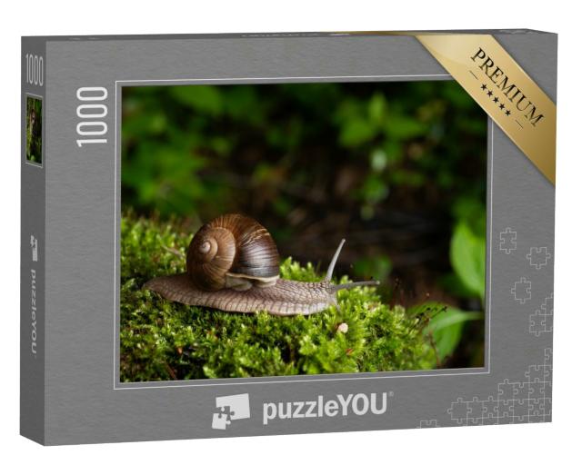 Puzzle 1000 Teile „Schnecke in ihrem natürlichen Lebensraum“