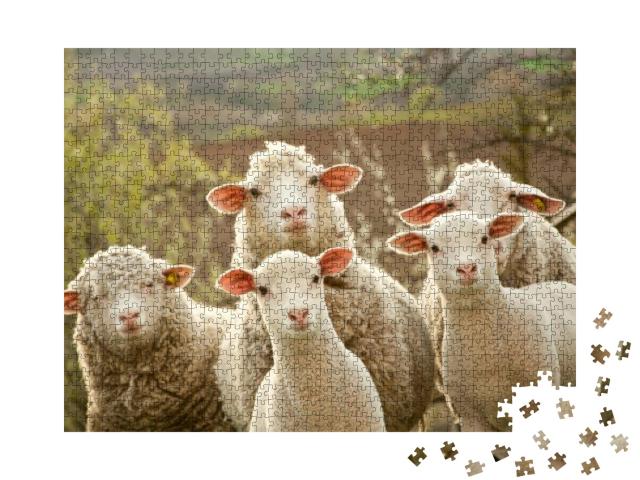Puzzle 1000 Teile „Neugierige Schafe“
