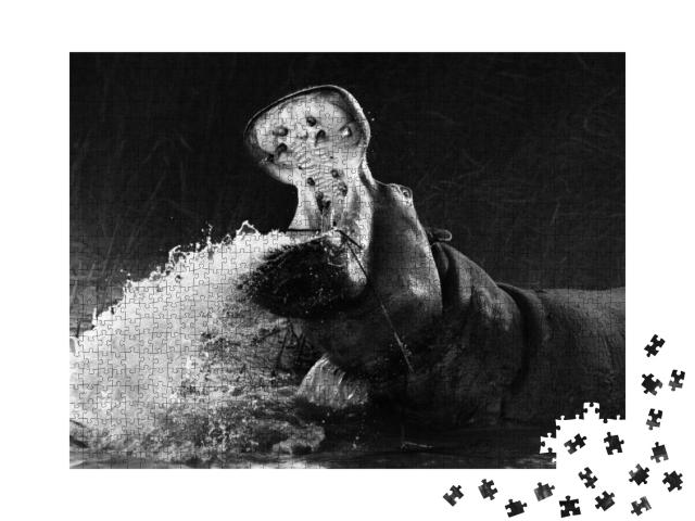 Puzzle 1000 Teile „Beeindruckendes Nilpferd mit geöffnetem Mau im Wasser, schwarz-weiß“