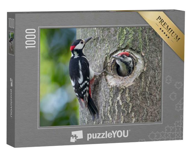 Puzzle 1000 Teile „Buntspecht-Nest: Vater und Sohn“