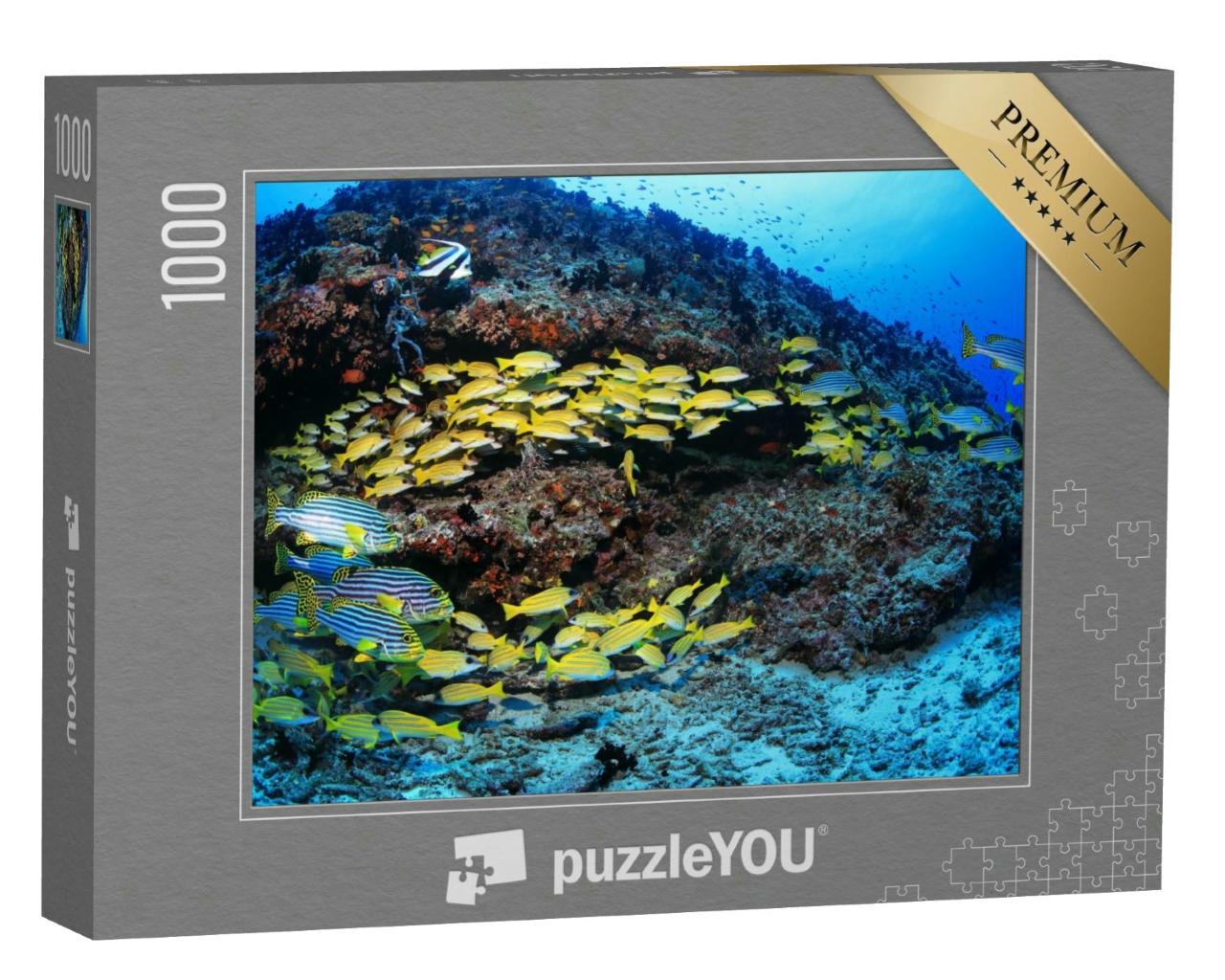 Puzzle 1000 Teile „Schönes tropisches Korallenriff mit bunten Fischen im Indischen Ozean“