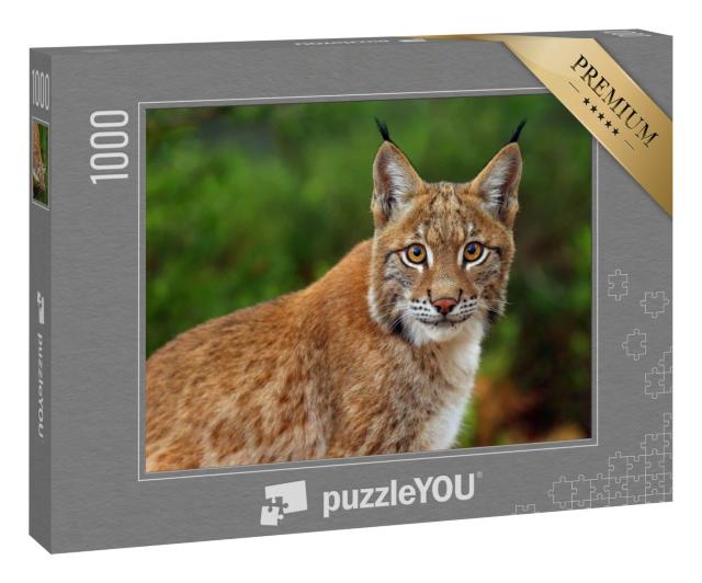 Puzzle 1000 Teile „Der Eurasische Luchs, Portraitaufnahme“