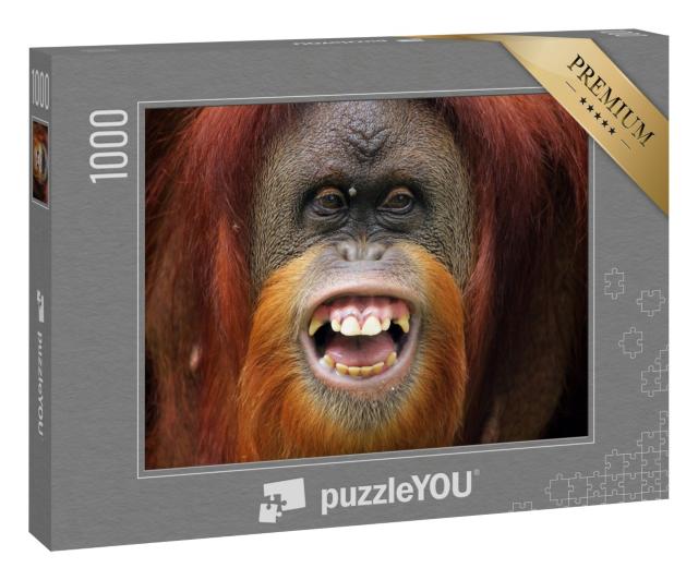 Puzzle 1000 Teile „Lächeln: Gesicht von Orang-Utan Sumateran“