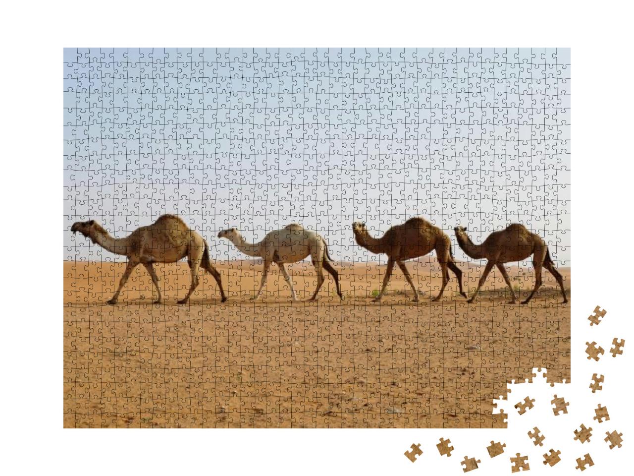 Puzzle 1000 Teile „Reihe von Dromedarkamelen durchquert Wüste“