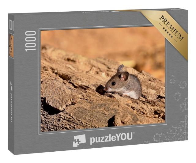Puzzle 1000 Teile „Die winzig kleine nordamerikanische Hirschmaus“