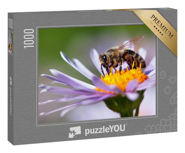 Puzzle 1000 Teile „Detailaufnahme: Honigbiene auf einer Blüte“