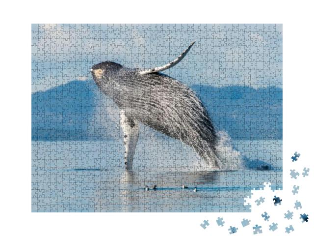 Puzzle 1000 Teile „Buckelwal bricht aus Wasser im Broughton Archipelago, British Columbia, Kanada“