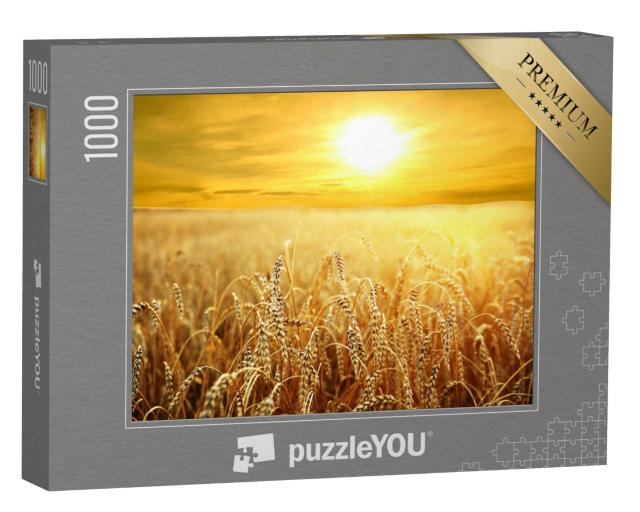 Puzzle 1000 Teile „Goldener Sonnenuntergang über dem goldenen Weizenfeld“