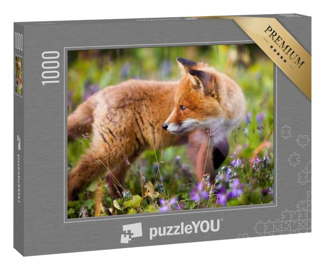 Puzzle 1000 Teile „Neugieriges Rotfuchsjunges in einer Blumenwiese“