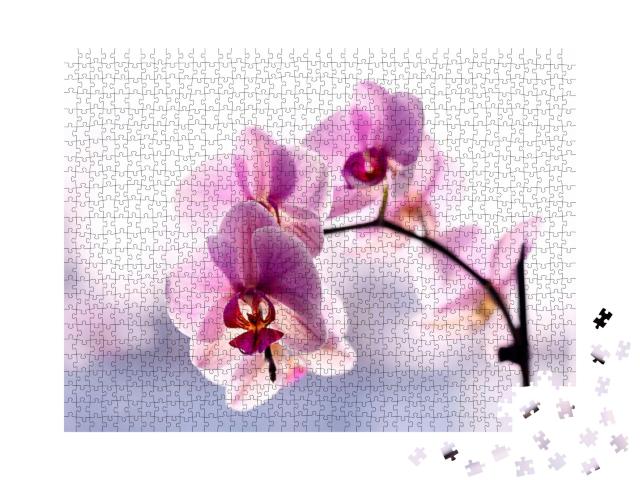 Puzzle 1000 Teile „Wunderschöne zarte Orchidee in Rosa“