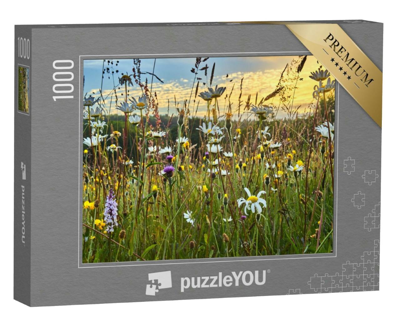 Puzzle 1000 Teile „Alte Wildblumenheuwiese im Sommer“
