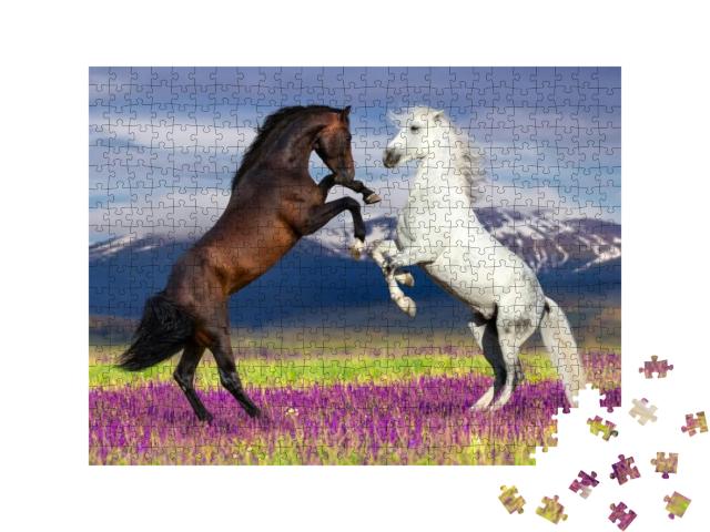 Puzzle 500 Teile „Wilde Schönheit: Zwei tanzende Pferde“